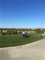 2017 april Las Colinas_e7.JPG